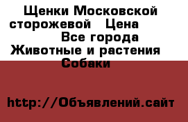 Щенки Московской сторожевой › Цена ­ 35 000 - Все города Животные и растения » Собаки   